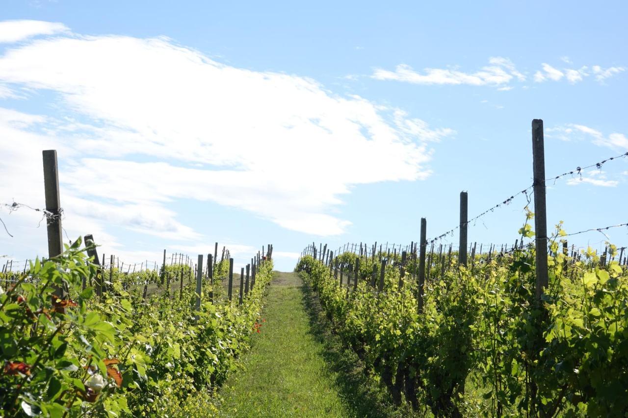Naturalmente Wine Resort اجليانو تيرمي المظهر الخارجي الصورة