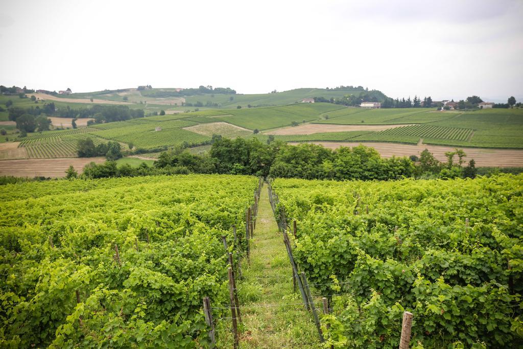 Naturalmente Wine Resort اجليانو تيرمي المظهر الخارجي الصورة